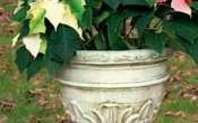 Garden white cement Pot, Vs32