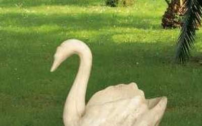 Cigno da giardino in cemento bianco, TA22