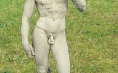 Michelangelo's David, TS02B