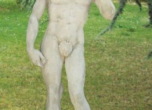 Michelangelo David, St02C